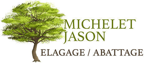 Michelet Jason elagage 77